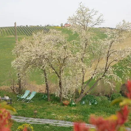 Casale Delle Rondini * Notaresco