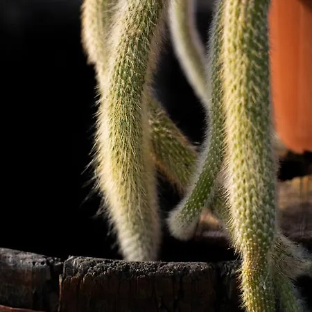 Casale Delle Rondini Notaresco