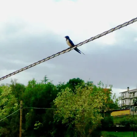 Holiday home Casale Delle Rondini *
