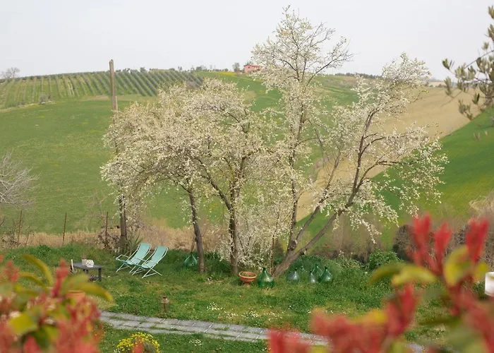 Casale Delle Rondini * Notaresco