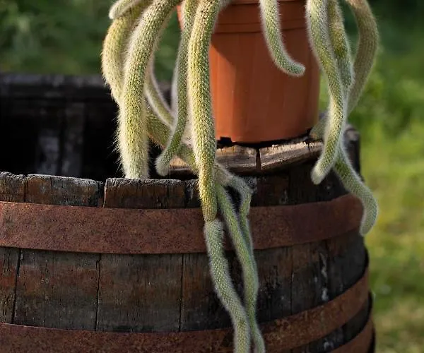 Casale Delle Rondini