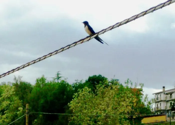 Σπίτι διακοπών Casale Delle Rondini *